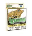 Леска Balsax Iguana Gold Box 100м 0,18 (5,0кг)